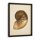 Colección De Sealife V - Vision Studio | Cuadro decorativo de Canvas Lab