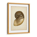 Colección De Sealife V - Vision Studio | Cuadro decorativo de Canvas Lab
