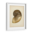 Colección De Sealife V - Vision Studio | Cuadro decorativo de Canvas Lab