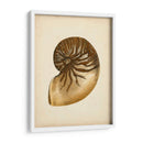Colección De Sealife V - Vision Studio | Cuadro decorativo de Canvas Lab