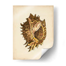 Colección Sealife Vi - Vision Studio | Cuadro decorativo de Canvas Lab