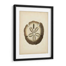 Colección Sealife Ix - Vision Studio | Cuadro decorativo de Canvas Lab