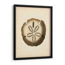 Colección Sealife Ix - Vision Studio | Cuadro decorativo de Canvas Lab