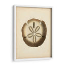 Colección Sealife Ix - Vision Studio | Cuadro decorativo de Canvas Lab