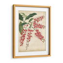 Floral Tropical Iii - E. Duncan | Cuadro decorativo de Canvas Lab