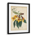 Floral Tropical Vi - E. Duncan | Cuadro decorativo de Canvas Lab