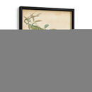 Floral Tropical Vi - E. Duncan | Cuadro decorativo de Canvas Lab