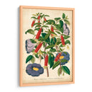 Verano Megley I - Severeyns | Cuadro decorativo de Canvas Lab