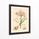 Rubor Rosa Florals Ii - John Miller | Cuadro decorativo de Canvas Lab