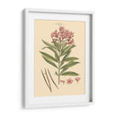 Rubor Rosa Florals Iii - John Miller | Cuadro decorativo de Canvas Lab