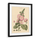 Rubor Rosa Floral V - John Miller | Cuadro decorativo de Canvas Lab