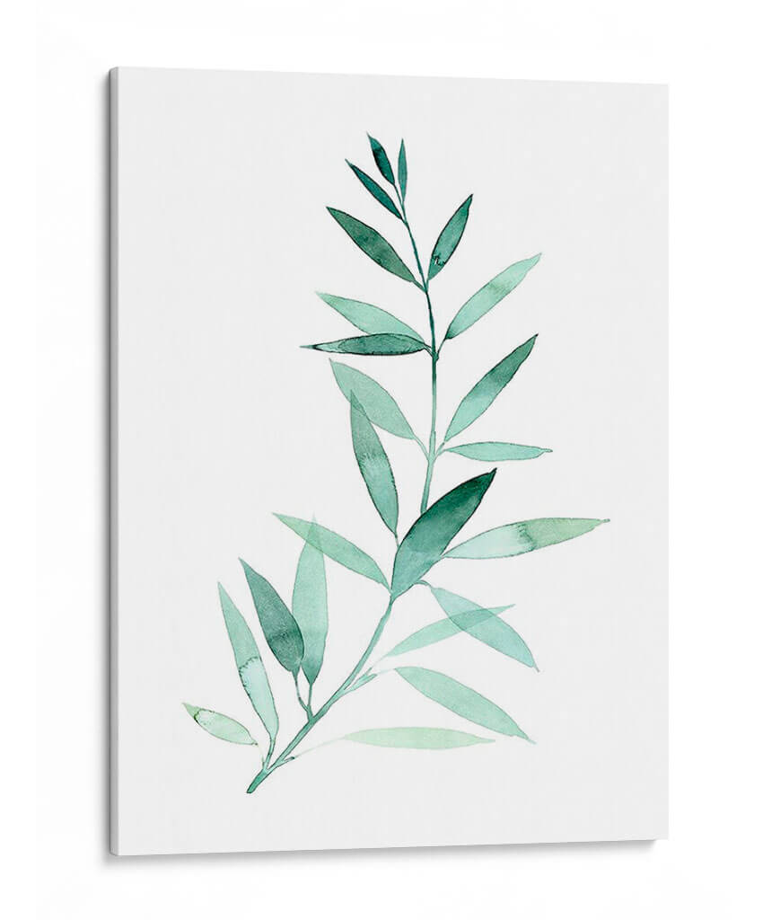 Plaña De Granque De Sea Ii - Grace Popp | Cuadro decorativo de Canvas Lab