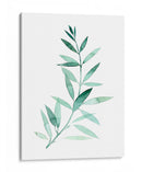 Plaña De Granque De Sea Ii - Grace Popp | Cuadro decorativo de Canvas Lab