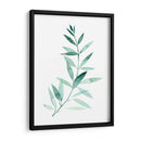 Plaña De Granque De Sea Ii - Grace Popp | Cuadro decorativo de Canvas Lab