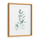 Plaña De Granque De Sea Ii - Grace Popp | Cuadro decorativo de Canvas Lab