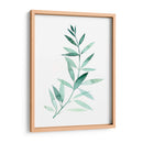 Plaña De Granque De Sea Ii - Grace Popp | Cuadro decorativo de Canvas Lab