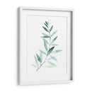 Plaña De Granque De Sea Ii - Grace Popp | Cuadro decorativo de Canvas Lab