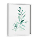 Plaña De Granque De Sea Ii - Grace Popp | Cuadro decorativo de Canvas Lab