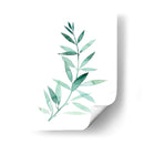 Plaña De Granque De Sea Ii - Grace Popp | Cuadro decorativo de Canvas Lab