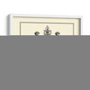 Bw Grand Garden Gate Iv - O. Kleiner | Cuadro decorativo de Canvas Lab