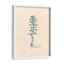 Arrancado I - Jamie Douglas | Cuadro decorativo de Canvas Lab