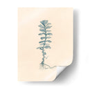 Arrancado I - Jamie Douglas | Cuadro decorativo de Canvas Lab