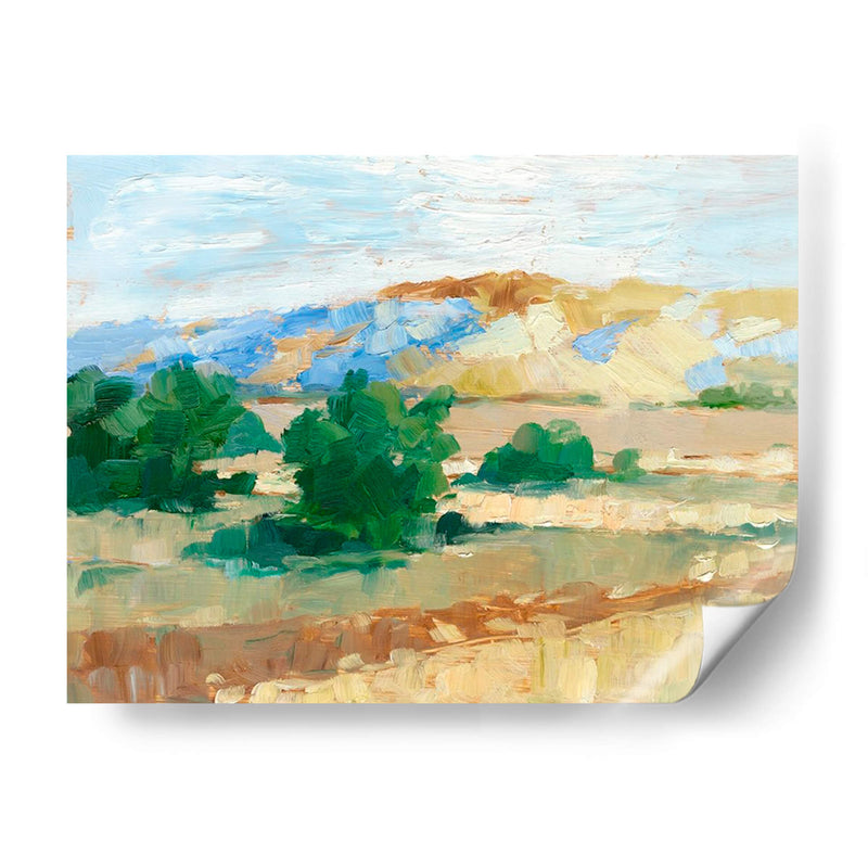 Campo Sunny I - Ethan Harper | Cuadro decorativo de Canvas Lab