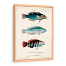 Antiguo Fish Trio Iii - Vision Studio | Cuadro decorativo de Canvas Lab