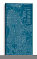 Mapa Gráfico De Boston - Vision Studio | Cuadro decorativo de Canvas Lab