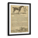 Retrato De Caballo I | Cuadro decorativo de Canvas Lab