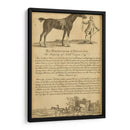 Retrato De Caballo I | Cuadro decorativo de Canvas Lab