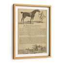 Retrato De Caballo I | Cuadro decorativo de Canvas Lab