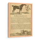 Retrato De Caballo I | Cuadro decorativo de Canvas Lab