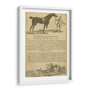 Retrato De Caballo I | Cuadro decorativo de Canvas Lab