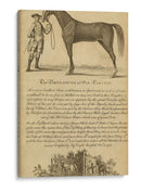 Retrato De Caballos Ii | Cuadro decorativo de Canvas Lab