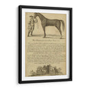 Retrato De Caballos Ii | Cuadro decorativo de Canvas Lab