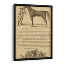 Retrato De Caballos Ii | Cuadro decorativo de Canvas Lab