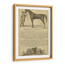 Retrato De Caballos Ii | Cuadro decorativo de Canvas Lab