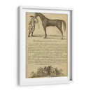 Retrato De Caballos Ii | Cuadro decorativo de Canvas Lab