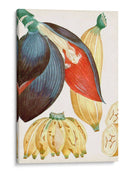 Turpin Tropical Fruta Vii - Turpin | Cuadro decorativo de Canvas Lab