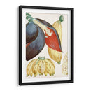 Turpin Tropical Fruta Vii - Turpin | Cuadro decorativo de Canvas Lab