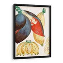 Turpin Tropical Fruta Vii - Turpin | Cuadro decorativo de Canvas Lab