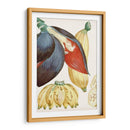 Turpin Tropical Fruta Vii - Turpin | Cuadro decorativo de Canvas Lab