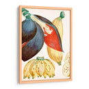 Turpin Tropical Fruta Vii - Turpin | Cuadro decorativo de Canvas Lab