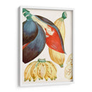 Turpin Tropical Fruta Vii - Turpin | Cuadro decorativo de Canvas Lab