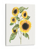 Composición De Girasol I - Jennifer Goldberger | Cuadro decorativo de Canvas Lab