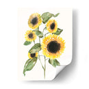 Composición De Girasol I - Jennifer Goldberger | Cuadro decorativo de Canvas Lab