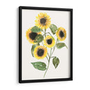Composición De Girasol Ii - Jennifer Goldberger | Cuadro decorativo de Canvas Lab
