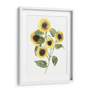 Composición De Girasol Ii - Jennifer Goldberger | Cuadro decorativo de Canvas Lab