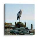 Playscape Heron I - James McLoughlin | Cuadro decorativo de Canvas Lab